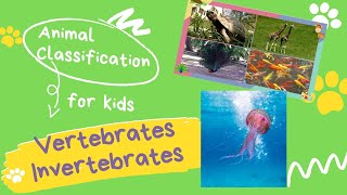 VERTEBRATES AND INVERTEBRATES for kids  Animal Classification for children [upl. by Lauryn]