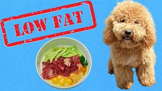 3 Easy Low Fat Dog Food Recipes for Pancreatitis [upl. by Altaf601]