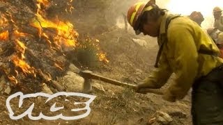 How to Fight Forest Fires [upl. by Rosalind6]