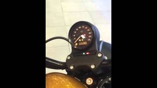 HarleyDavidson Iron 883 stock exhaust sound [upl. by Anirehtak]