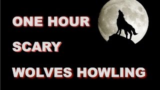 Wolves Howling Sounds  One Hour  HQ [upl. by Phila]