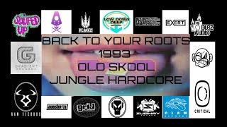 Back To Your Roots 1993 Jungle Hardcore Classic AnthemsDreamscapeWorld DanceTelepaphyDesire [upl. by Ritz511]