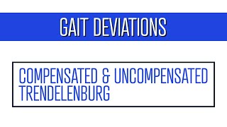 Trendelenburg Gait Demonstration [upl. by Bixby]