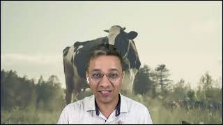 मुफ्त और आसान उपाय  Benefits of feeding cows in Astrology [upl. by Rosati]