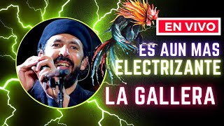 LA GALLERA  JUAN LUIS GUERRA  Analizando Su Voz En Vivo [upl. by Lemay732]