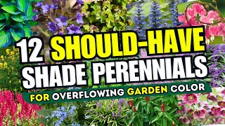 🌲🌈 TRANSFORM YOUR SHADE 12 Best Shade Perennials for Overflowing Garden Color 🌸 [upl. by Blane280]