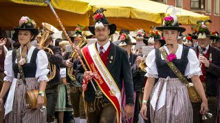 🥁 Musikkapellen aus Nordtirol  Blasmusik vom Feinsten [upl. by Geno]