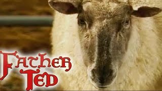 Chirpy Burpy Cheap Sheep  Father Ted  Season 3 Episode 2  Full Episode [upl. by Yanahs]