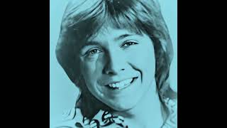 DAVID CASSIDY TRIBUTELIVING A LIE [upl. by Ayekat]