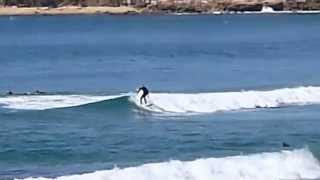 CENTRAL COAST  PELICAN BIRDIE WAMBERAL TERRIGAL  SURF [upl. by Eniamsaj]