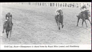 Shangamuzo wins 1978 Ascot Gold Cup [upl. by Ainatit]