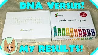 Results Comparison  AncestryDNA vs 23andMe  Genetic DNA Tests [upl. by Navetse]