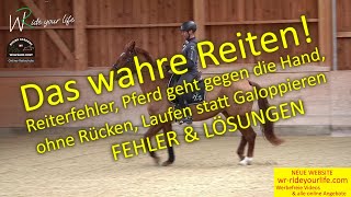 F161 Bella Teil 1 Pferde die hochdrücken amp gegen die Hand gehen Ausfallen im Galopp Reiterfehler [upl. by Aniez119]