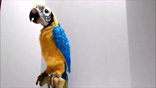 Squawkers McCaw FurReal Friends Interactive Talking Parrot [upl. by Ignace]