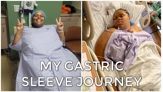 My Gastric Sleeve Journey [upl. by Ecertap197]