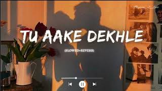 TU AAKE DEKh LE SLOWED  REVERB Lofi  Song 🎶 KING [upl. by Weeks]