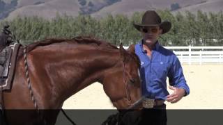 The difference between a hackamore and a rope halter  or sidepull [upl. by Gobert40]