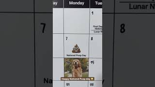 National poop day TUCKER amp BUDZYN  tuckerbudzyn instagramdogs dogslover shorts [upl. by Deelaw]