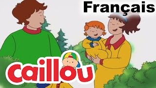 Caillou Vive Le Camping  conte pour enfant  Caillou en Français [upl. by Burget532]