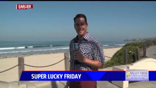 Big bug gives FOX 5 reporter a big scare Are we live [upl. by Ihtac]