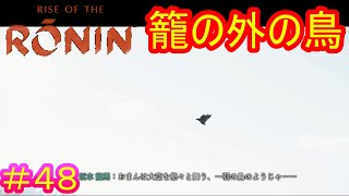 【Rise of the Ronin48】鳥（とり）と烏（からす）は一瞬どっちか迷うから鴉表記にしてほしい（動画とは無関係なタイトル）【ライズオブローニン】 [upl. by Anair]