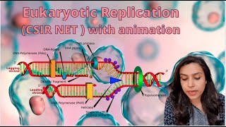 Eukaryotic Replication Explained  CSIR NET Initiation Elongation and termination  PART 4 [upl. by Akinnor]