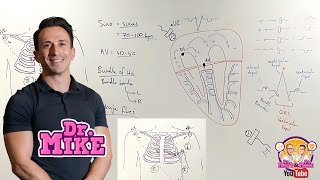 Understanding ECGs  From Placement to Interpretation [upl. by Nodnarbal]