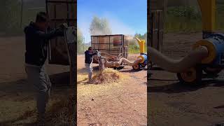 Hay crushing process Good tools and machinery can increase work efficiency [upl. by Loram]