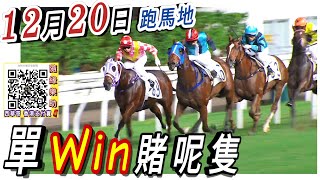 單Win賭呢隻 12月20日 跑馬地 香港賽馬 [upl. by Attenna]