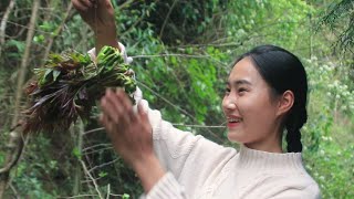 We should eat Toona sinensis in spring｜Couples Pastoral Life in Sichuan [upl. by Ntisuj739]