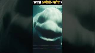 समुंद्र की सबसे अजीबोगरीब आवाजamazingfacts factsinhindi interestingfacts knowledge new thef [upl. by Eissirhc]