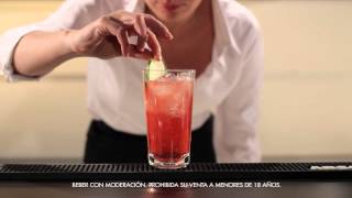 ABSOLUT BAR  Absolut Mandrin Punch [upl. by De]