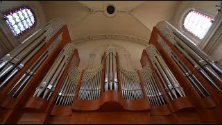 Gaston Bélier Toccata in d minor [upl. by Yahska850]