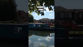 Newbury Cannel reels feed shortvideos youtube viralvideos shortsfeed feedshorts viralvideos [upl. by Lazaro]