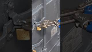 High security padlock system locksmith lockpicking homesecurity springonshorts container [upl. by Pontus]