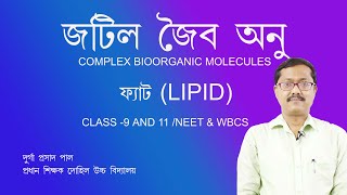 lipids fat bengalifatlipid compositionbiology 11 bengali biomacromoleculesclass 9 life science [upl. by Hayn10]