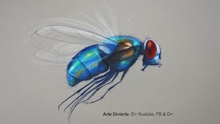 Cómo dibujar una mosca con lápices de colores  Arte Divierte [upl. by Otrepur626]