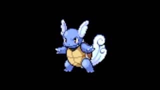 Pokemon Cries  008 Wartortle [upl. by Auberon]