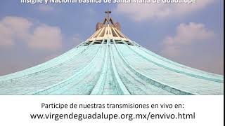 Transmisiones en vivo desde la Basílica de Guadalupe [upl. by Kare]