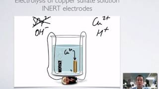 14 Aqueous Electrolysis [upl. by Gasser]