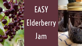 Elderberry Jam  EASY [upl. by Codd]