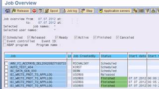 SAP BASIS Training Videos Introduction to SAP System Administration Basis [upl. by Anerbas]