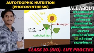 AUTOTROPHIC NUTRITION  PHOTOSYNTHESIS AND ITS MECHANISM  CLASS 10 SCIENCE  LIFE PROCESS [upl. by Hpesoy]