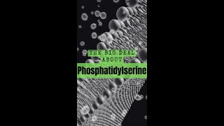 What is Phosphatidylserine [upl. by Eiclehc]