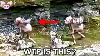 Creepy Stuff Caught on Camera You Wont Believe [upl. by Acinoj250]