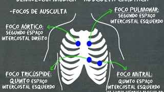 Semiologia médica Ausculta cardíaca [upl. by Aiykan572]