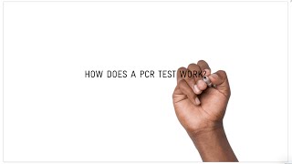 How does a COVID19 PCR test work [upl. by Alena]