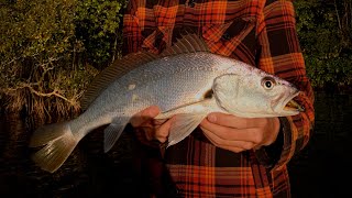 My First School JEWFISH  Fishing SEQ [upl. by Ajit]