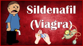 Sildenafil Viagra  Uses Dosage Mechanism Of Action Pharmacokinetics amp Adverse Effects [upl. by Noinatrad]