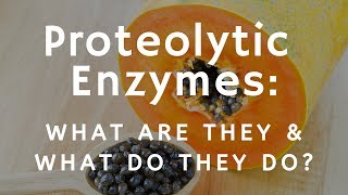 What Are Proteolytic Enzymes and What Do They Do [upl. by Adnohsel696]